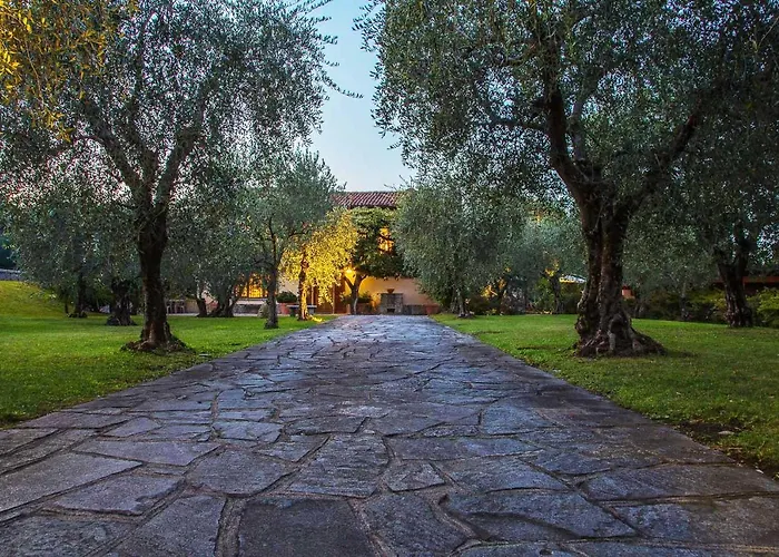 Olivee Bellagio
